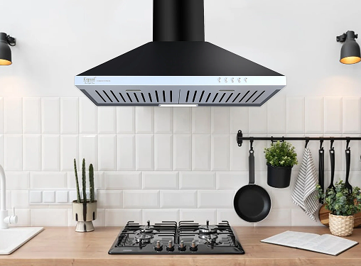 Chimney Service
